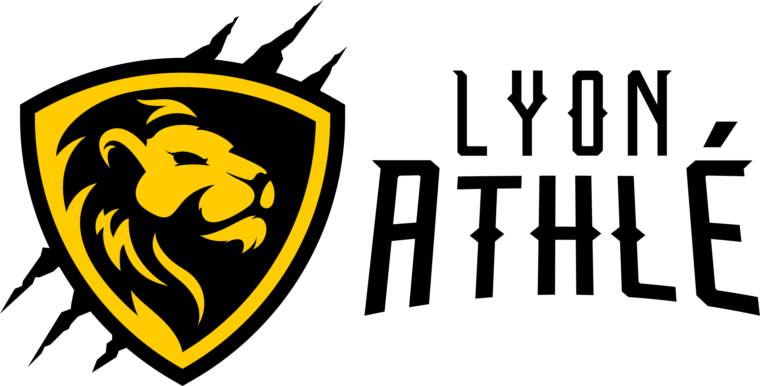 Les Meetings Lyon Athl tisme Les Meetings Lyon Athl tisme